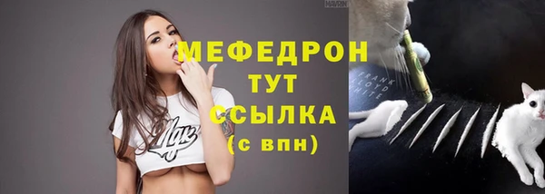 спиды Няндома