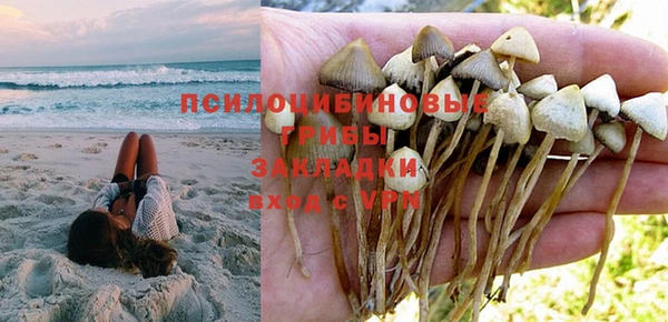 марки nbome Аркадак