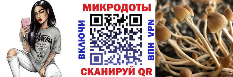 купить наркотик  Бор  Псилоцибиновые грибы мицелий 