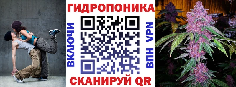 Бошки Шишки MAZAR  Бор 